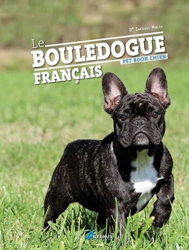 Bouledogue français - le,