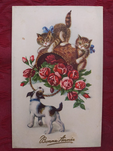 Cpa 1908 bonne année chats - 1908:,