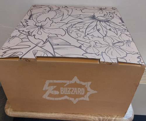 2020 blizzard employee - blizzard,