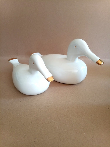 Couple canards en - de,