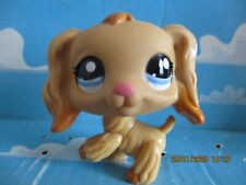 PETSHOP SPANIEL DOG N°1716