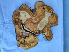 Dalle en bois d'olivier