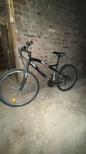 Vélo adulte - ,
