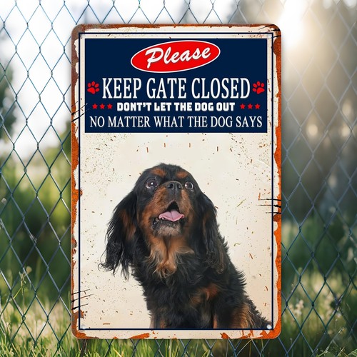 Funny cavalier king charles - funny,
