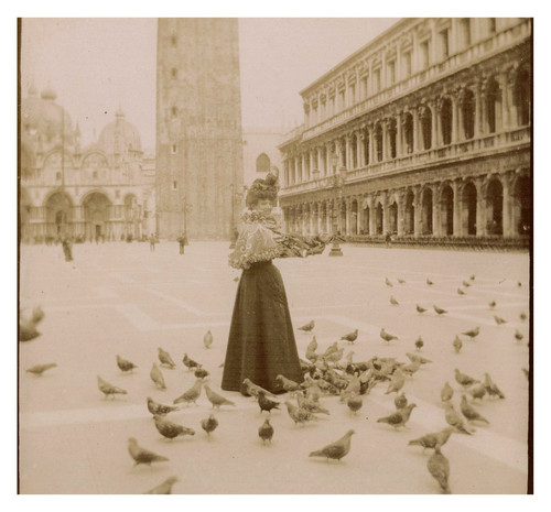 Italie venise les pigeons - italie,,