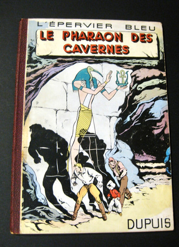 Epervier bleu pharaon - l'epervier, le