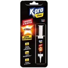 Seringue Insecticide Cafards &