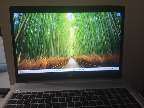 Probook 450 10210u - hp,