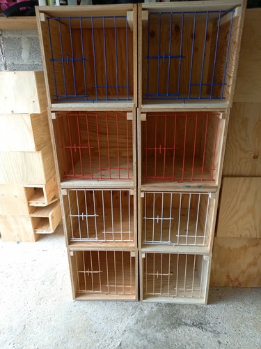 Casier pigeon voyageur type - pigeon,