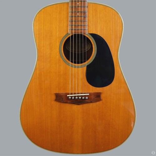 Vantage acoustic guitar - vantage,