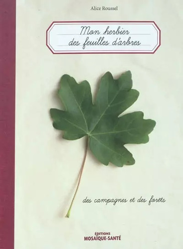 Herbier des feuilles arbres - des, d'arbres