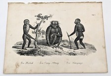 Lithographie XIXe siècle