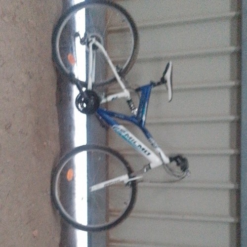 Giant vtt blanc bleu - giant, blanc/bleu