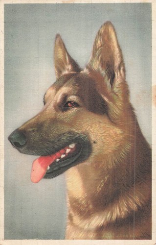 Lot postcards german - lot,