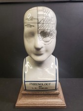 Phrenology Head Reading Statue
