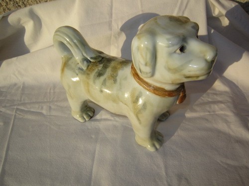 Chien saint bernard - chien,