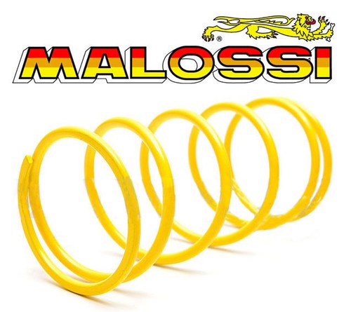 Ressort poussée malossi - de,