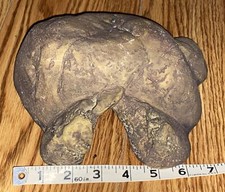 Exo Terra Reptile Cave Naturalistic Rock Hiding Place Terrarium USED