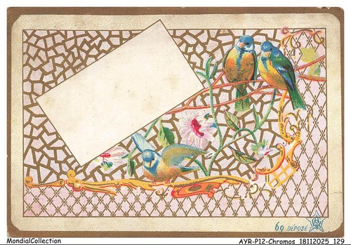 Ayrp12 0900 chromos oiseaux - ayrp12-0900-chromos,
