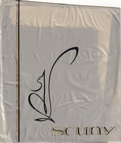 Bas nylon scuny coloris café - coloris,