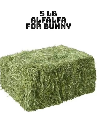 Alfalfa hay for rabbits - hay,