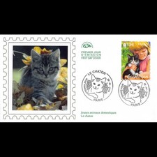 CEF soie - Jeunes animaux