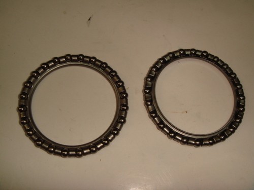 Canari pour calottes - canari,