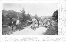 CPA BELGIUM LARGE ARDENNAIS COUPLING (back not divided)