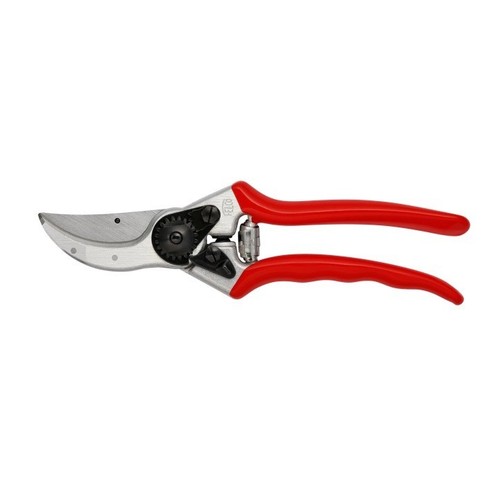 Fruch ciseaux taille - fruch, vigne