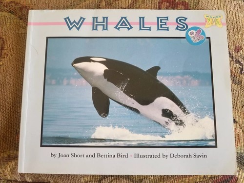 Mondo animals whales by - mondo,