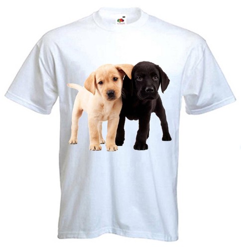 Shirt chiens labrador - t-shirt,