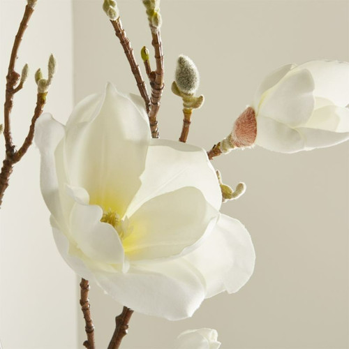 Magnolia flower branch - 50",