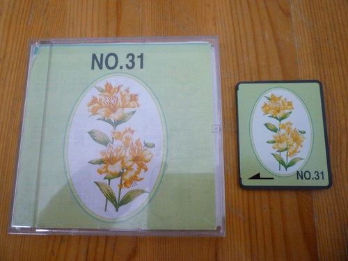Bernina carte memoire - bernina,