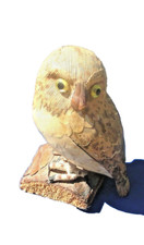 Chouette Hibou perchée sur