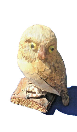 Chouette hibou perchée sur - chouette,