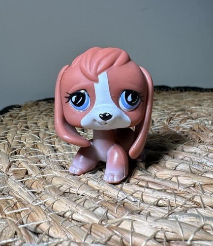 Littlest pet shop lps 567 - shop,
