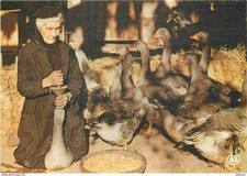 Metiers - Gaveuse d'oies -