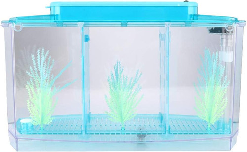 Aquarium fish three - fish,