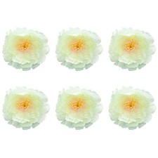 Paquet De 6 Grand Ivoire Fleur