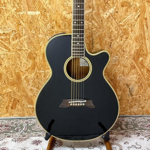 Guitare électrique acoustique