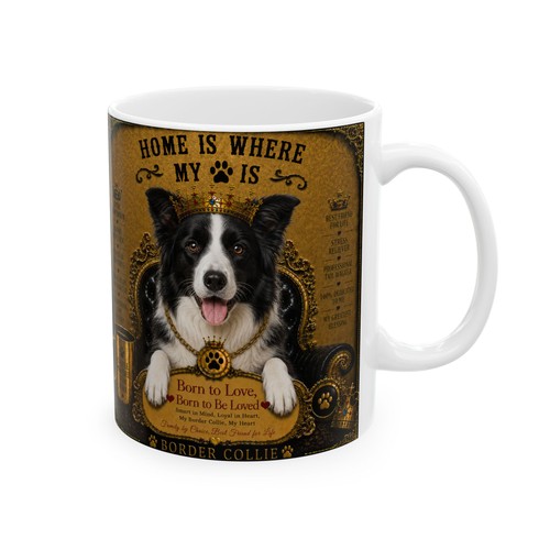 Border collie home where my - is,
