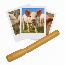 Appeau - Animaux - Cochon -