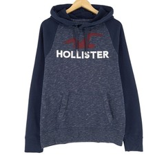 Hollister Sweat À Capuche