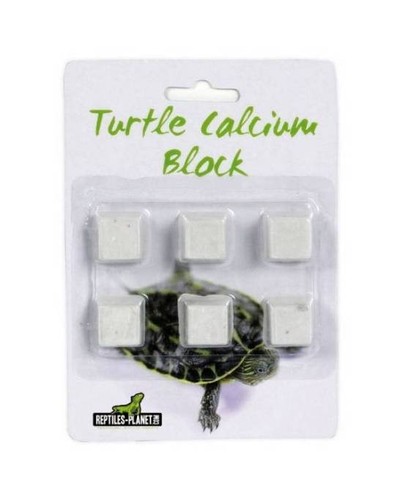 Reptiles planet turtle calcium - turtle,