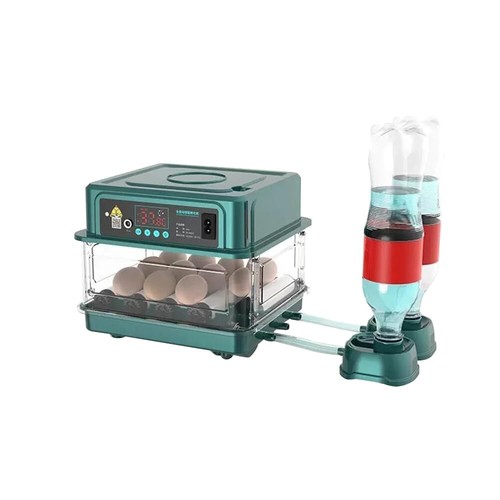 Couveuse oeuf automatique - couveuse,
