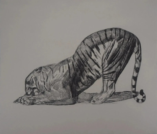 Paul jouve tigre sur sa - :,