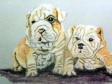 Peinture Pastel Animalier " Sharpei " signée Madeleine CB