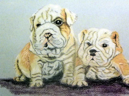 Peinture pastel animalier - pastel,