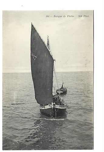 Barque de peche - 76,