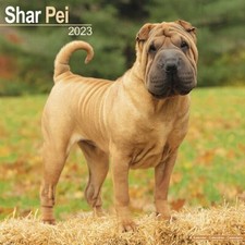 Calendrier 2023 - SHAR PEI
